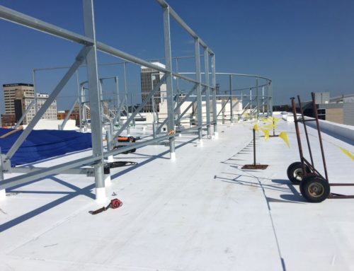 Fleeceback TPO Roof Installation